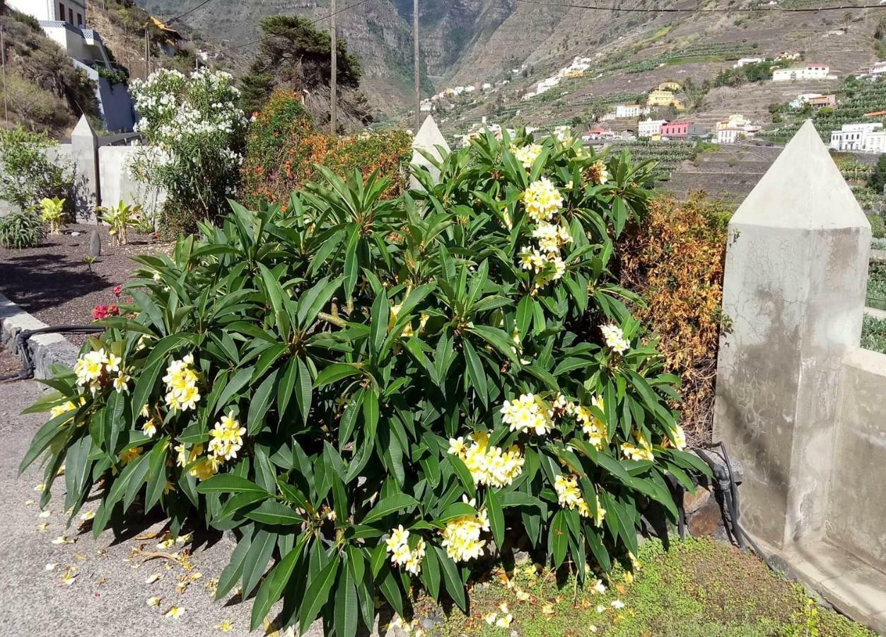 Gomera Garden. Vista Mar Altozano Hermigua Buitenkant foto